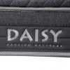 Daisy 6 (copy)