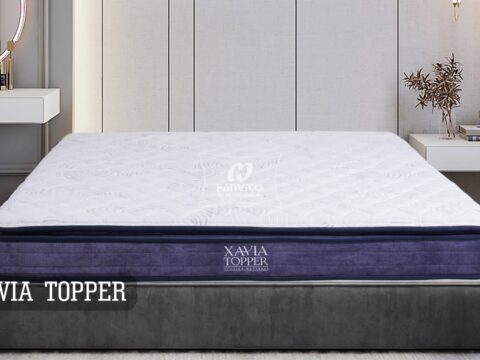 Xavia Topper 01 (copy)