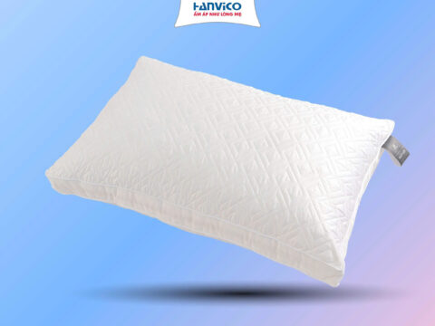 Gen H Ruột Gối Micro Chần G1