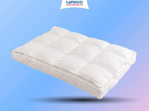 Gen H Ruột Gối Micro Tăng Tiện Nghi G2